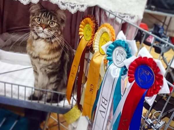 Utstillingåret 2020