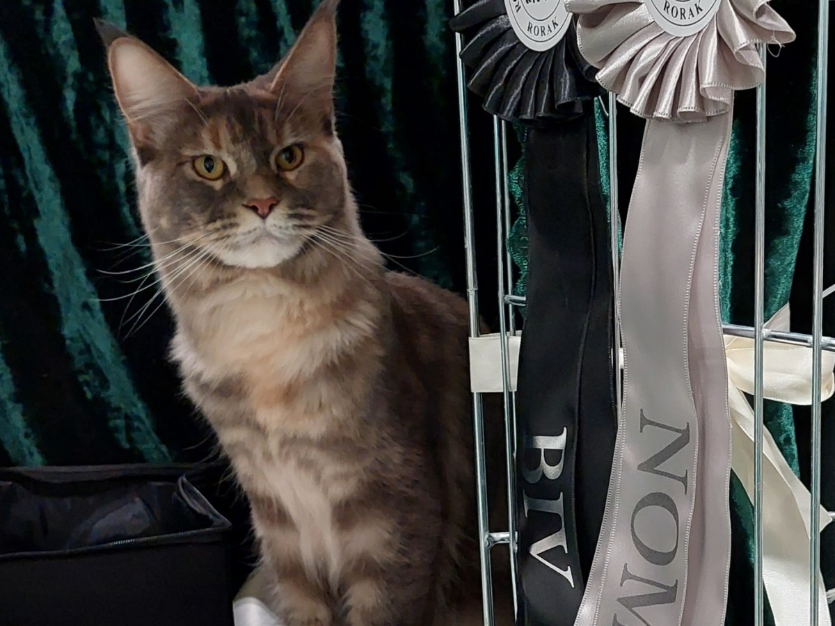 Utstilling RORAK 2022