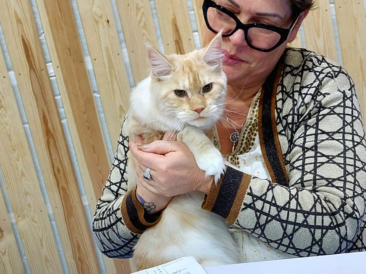 Utstilling BERAK 2023