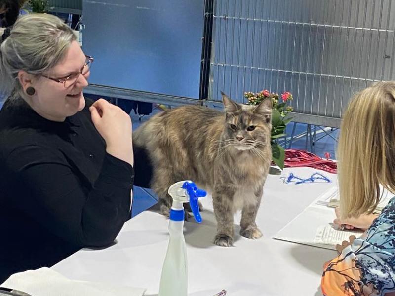 Utstillingsåret 2023