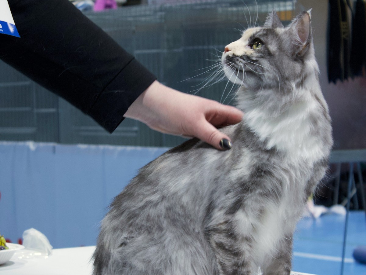 Jubileumutstilling BERAK 2026